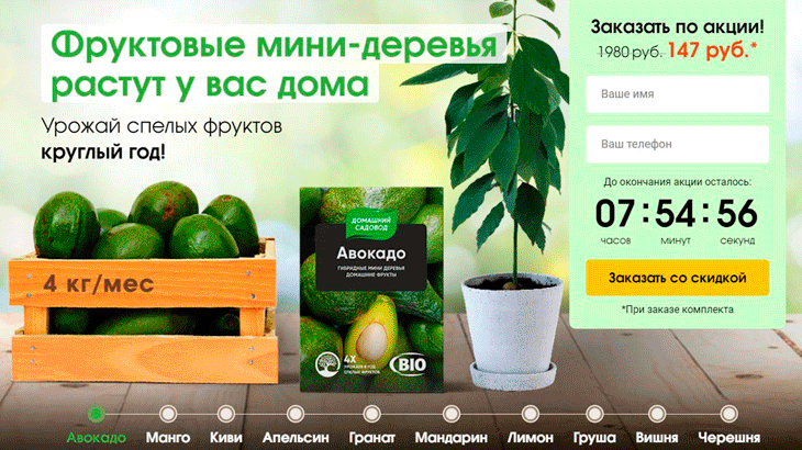 Скриншот: акция на сайтах по продаже домашних деревьев.